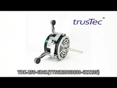 Video pengujian Changzhou Trustec Motor YDK-250-6B61